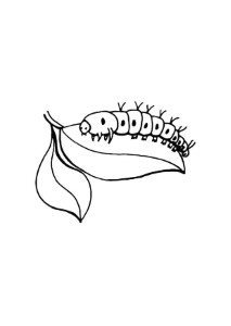 Coloring page caterpillar - img 10719.