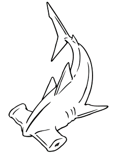 Hammerhead Shark Coloring Page | Free Printable Coloring Pages