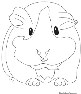 Groaning guinea pig coloring pages | Download Free Groaning guinea