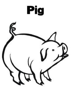 Download Coloring Pages A Pig Animal Or Print Coloring Pages A Pig