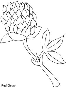 Flower coloring pages | Coloring-