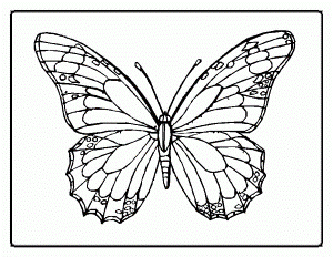 butterfly and ladybug coloring pages : Printable Coloring Sheet