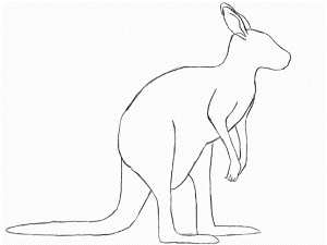 How To Draw A Kangaroo | Draw Central