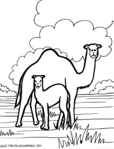Easy Camel Coloring Page | Laptopezine.