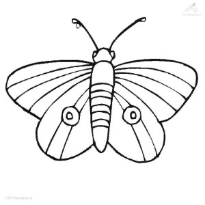 Butterfly coloring pages | Butterfly coloring pages for kids | #8