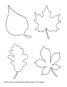 free fall leaf template | Ludovico