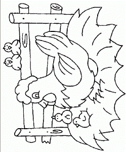 Animal Coloring Pages For Kids : Animal Coloring Pictures For Kids