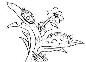 Lady Bug Coloring Pages - Free Coloring Pages For KidsFree