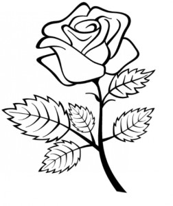 The Great Rose Flower Coloring Page - Kids Colouring Pages