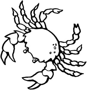 Crab Coloring Page for Kids - Free Printable Picture