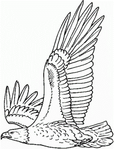 Free Printable Animal Eagle Coloring Pages For Little Kids - #
