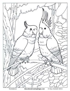 Birds Book One Coloring Pages | Animal Coloring Pages for Kids