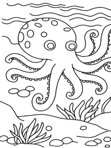 octopus coloring page for kids funny animals jumbo pages