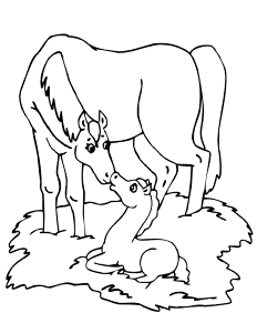 Horse Coloring Book Pages 406 | Free Printable Coloring Pages