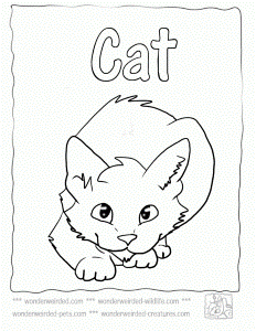 Cat Coloring Pages,Echo