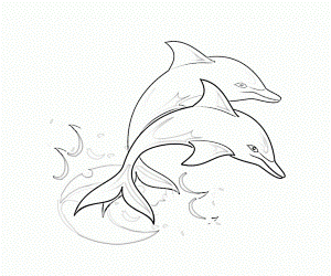 Free Printable Dolphin Coloring Pages For Kids KidsColoringPics