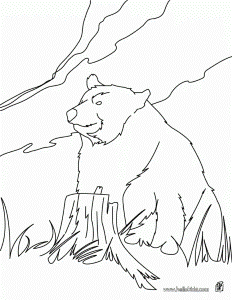 BEAR Coloring Pages Kodiak Bear 181594 Brown Bear Brown Bear