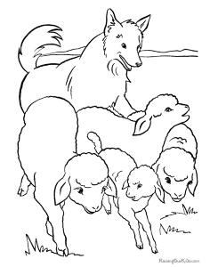 Herd dog to color 011