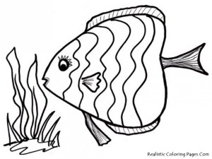 Rainbow Fish Printables Ocean Fish Coloring Pages Realistic 126387