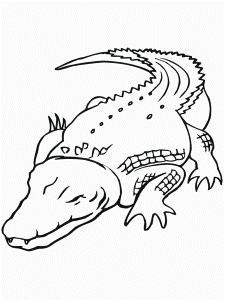 Crocodile coloring pages to print for kids | Coloring Pages
