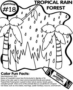 Rainforest-coloring-9 | Free Coloring Page Site