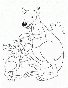 Joey with mother kangaroo coloring pages | Download Free Joey with
