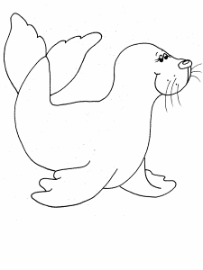 Seal Animals Coloring Pages & Coloring Book