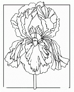 Spring Flowers Coloring To Print - Spring Day Coloring Pages