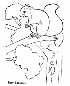 petrified forest coloring page