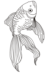 Goldfish Coloring Page | A Realistic Goldfish Drawing