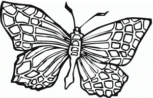 Monarch Butterfly Coloring Pages | kids world