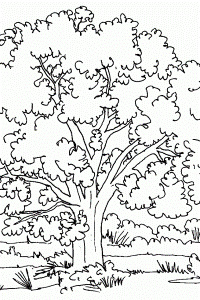 Flower Tree Coloring Pages 640×960 #8794 Disney Coloring Book Res