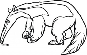 Animals: Attractive Anteater Coloring Page Picture, ~ Coloring Sheets