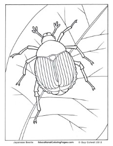Crawly Creepers BookOne Coloring Pages | Animal Coloring Pages for