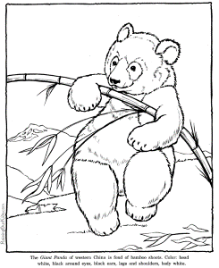 National Geographic Kids Coloring Pages Animals