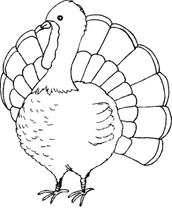 Cute Turkey Coloring Pages | 99coloring.com