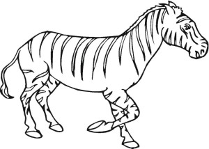 Printable Zebra Coloring Pages for Kids | ThoughtfulCardSender.