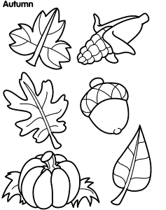 Art. Paper. Scissors. Glue!: Thankful Leaves