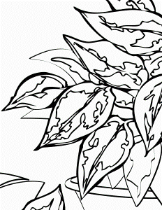 House Plants Coloring Pages - Handipoints