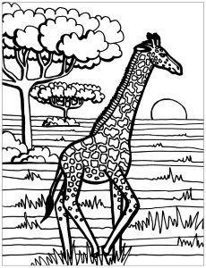 Giraffe coloring page - Giraffes Adult Coloring Pages