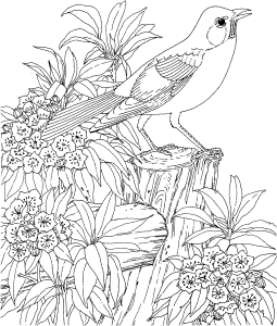 Detailed Flower Pattern Coloring Pages | Coloring Online