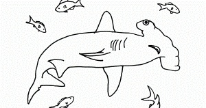 hammerhead shark coloring page - High Quality Coloring Pages