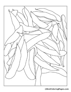 SOYBEANS Colouring Pages