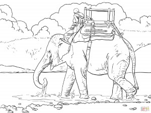 Cute Indian Elephant coloring page | Free Printable Coloring Pages