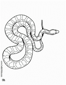 Pin by Amy Fox on Adult Coloring Pages | Pinterest | Snakes