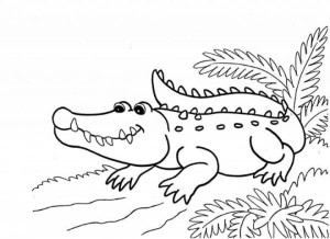 Get This Printable Alligator Coloring Pages for Kids 5prtr !