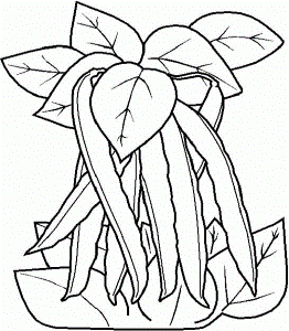 Beans Coloring Page