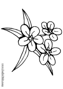 images > flowers coloring > FLOWERS,COLORING,PAGES,PRINTABLE