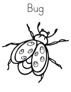 Bugs Coloring Pages For Kids | Pictxeer