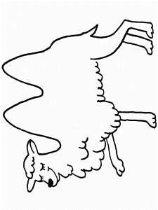 Camel Coloring Pages - Coloringpages1001.